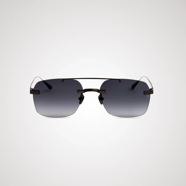 Titanium Black Frame Gray Lens Sunglasses with Carl Zeiss Vision
